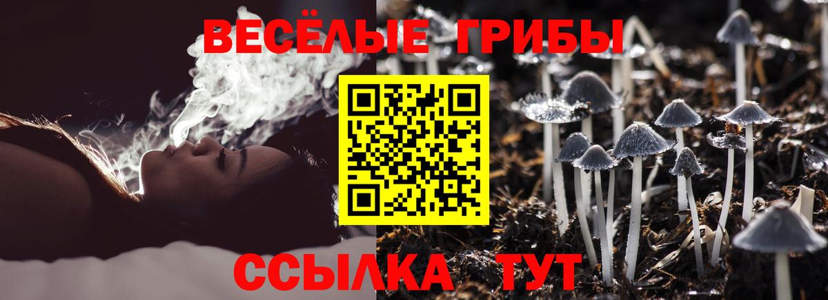 Добрянка  Галлюциногенные грибы Psilocybe  Вход с VPN 