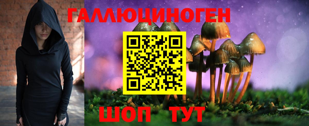 Галлюциногенные грибы ЛСД Добрянка